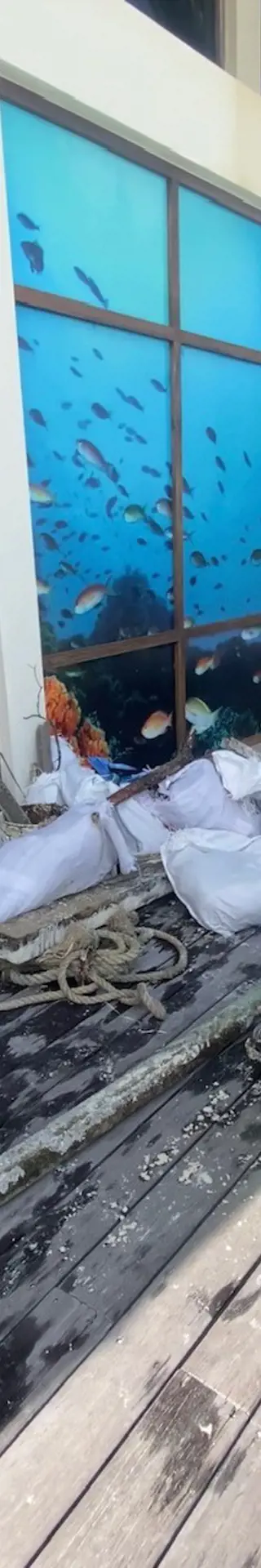 In den Diensten des Meeresschutzes